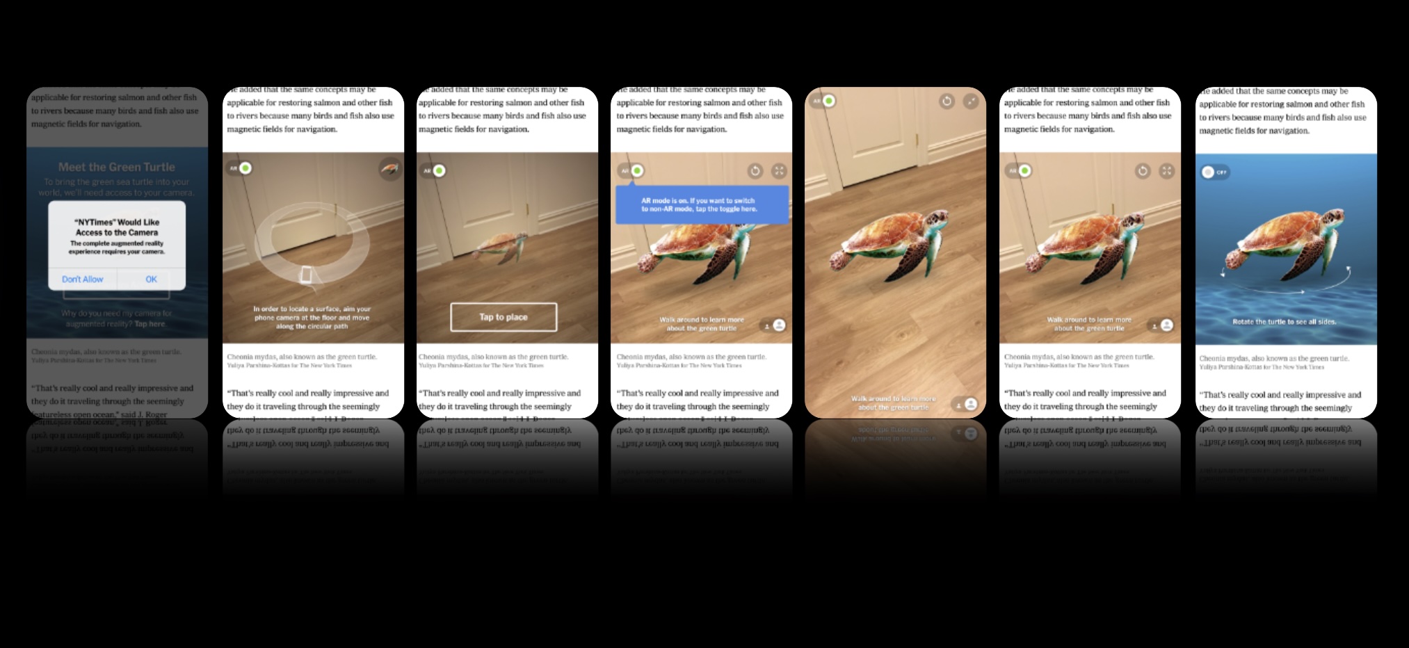 A sequence of phone screens showing the AR green turtle experience, from camera permissions and surface scanning to placing and exploring a life-sized sea turtle
